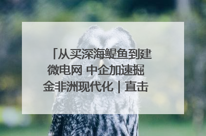 从买深海鳀鱼到建微电网 中企加速掘金非洲现代化｜直击中非经贸博览会