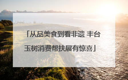 从品美食到看非遗 丰台玉树消费帮扶展有惊喜