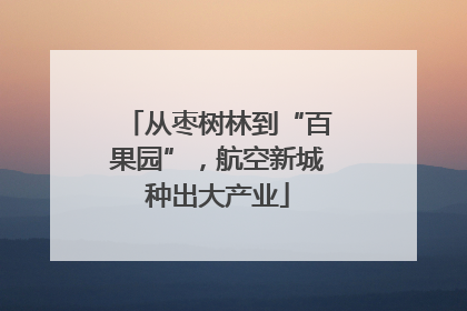 从枣树林到“百果园”，航空新城种出大产业