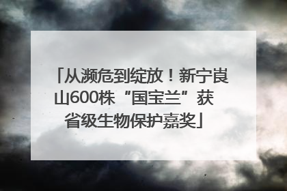 从濒危到绽放！新宁崀山600株“国宝兰”获省级生物保护嘉奖