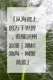 从海瓷上的万千世界，看懂滨州浪漫｜潮起渤海・网聚黄蓝
