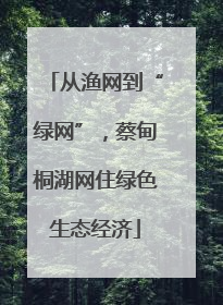 从渔网到“绿网”，蔡甸桐湖网住绿色生态经济