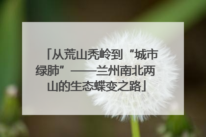 从荒山秃岭到“城市绿肺”——兰州南北两山的生态蝶变之路
