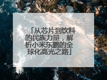 从芯片到饮料的民族力量，解析小米东鹏的全球化高光之路