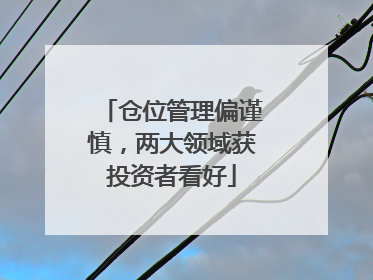 仓位管理偏谨慎，两大领域获投资者看好
