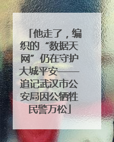 他走了，编织的“数据天网”仍在守护大城平安——追记武汉市公安局因公牺牲民警万松