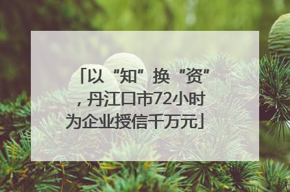 以“知”换“资”，丹江口市72小时为企业授信千万元
