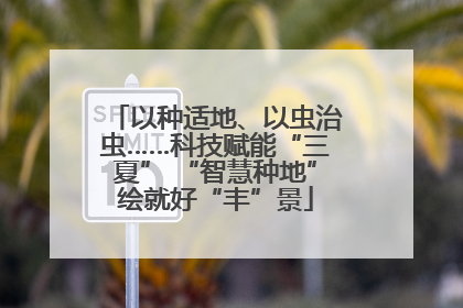 以种适地、以虫治虫……科技赋能“三夏” “智慧种地”绘就好“丰”景