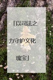 以司法之力守护文化瑰宝