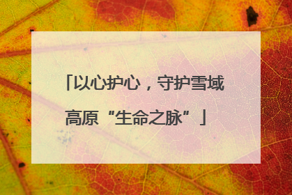 以心护心，守护雪域高原“生命之脉”