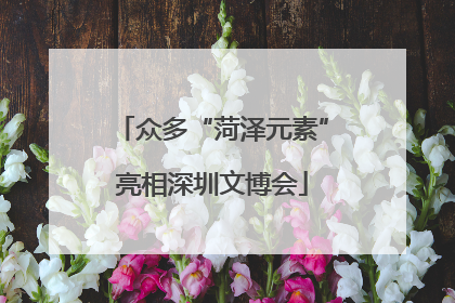 众多“菏泽元素”亮相深圳文博会