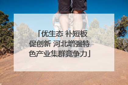 优生态 补短板 促创新 河北增强特色产业集群竞争力