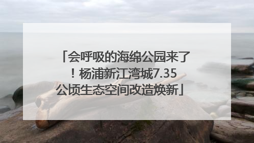 会呼吸的海绵公园来了！杨浦新江湾城7.35公顷生态空间改造焕新