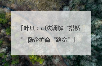 叶县：司法调解“搭桥” 稳企护商“路宽”