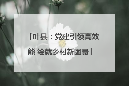 叶县：党建引领高效能 绘就乡村新图景