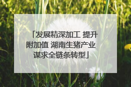 发展精深加工 提升附加值 湖南生猪产业谋求全链条转型