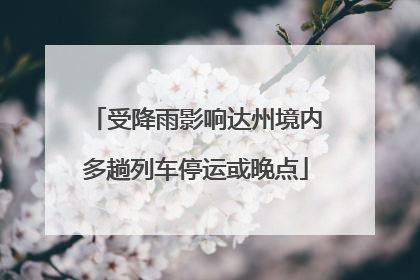 受降雨影响达州境内多趟列车停运或晚点