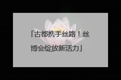 古都携手丝路！丝博会绽放新活力