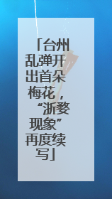 台州乱弹开出首朵梅花，“浙婺现象”再度续写