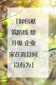 卸包袱 筑防线 帮升级 企业家在嵩县何以有为