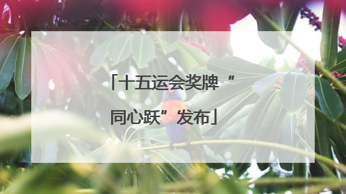 十五运会奖牌“同心跃”发布