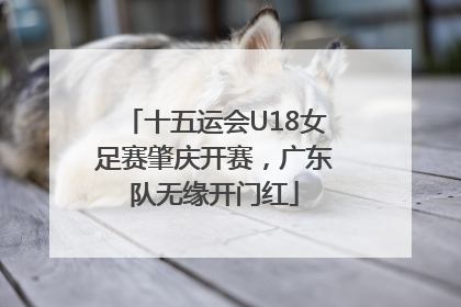 十五运会U18女足赛肇庆开赛，广东队无缘开门红