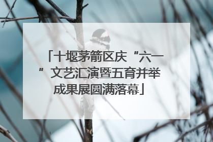 十堰茅箭区庆“六一”文艺汇演暨五育并举成果展圆满落幕