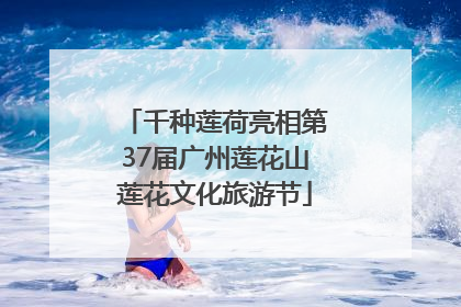 千种莲荷亮相第37届广州莲花山莲花文化旅游节
