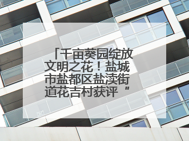 千亩葵园绽放文明之花！盐城市盐都区盐渎街道花吉村获评“全国文明村”