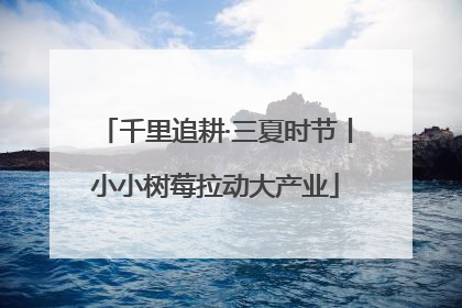 千里追耕·三夏时节丨小小树莓拉动大产业