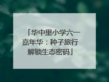 华中里小学六一嘉年华：种子旅行解锁生态密码
