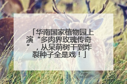 华南国家植物园上演“多肉界玫瑰传奇”，从呆萌树干到炸裂种子全是戏！