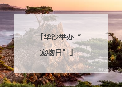 华沙举办“宠物日”