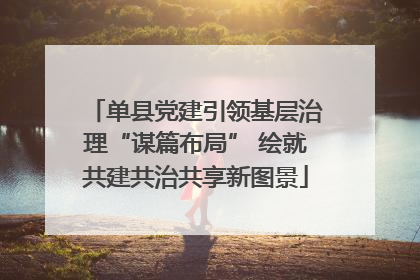 单县党建引领基层治理“谋篇布局” 绘就共建共治共享新图景