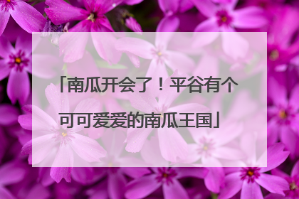 南瓜开会了！平谷有个可可爱爱的南瓜王国