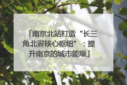 南京北站打造“长三角北翼核心枢纽”：提升南京的城市能级
