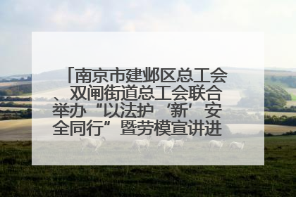 南京市建邺区总工会、双闸街道总工会联合举办“以法护‘新’安全同行”暨劳模宣讲进工地服务活动