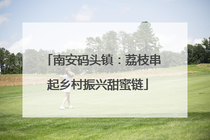 南安码头镇：荔枝串起乡村振兴甜蜜链