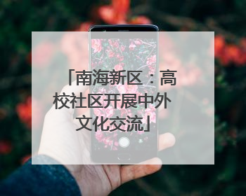 南海新区：高校社区开展中外文化交流