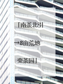 南茶北引→8亩荒地变茶园