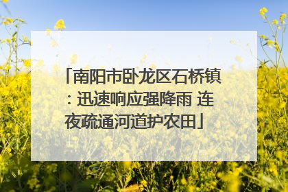 南阳市卧龙区石桥镇：迅速响应强降雨 连夜疏通河道护农田