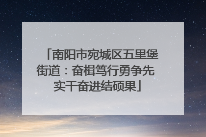 南阳市宛城区五里堡街道：奋楫笃行勇争先 实干奋进结硕果