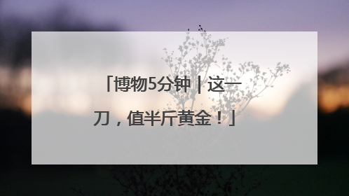 博物5分钟｜这一刀，值半斤黄金！