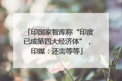 印国家智库称“印度已成第四大经济体”，印媒：还需等等