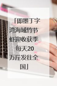 即墨丁字湾海域竹节虾迎收获季 每天20万斤发往全国