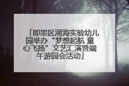 即墨区潮海实验幼儿园举办“梦想起航 童心飞扬”文艺汇演暨端午游园会活动