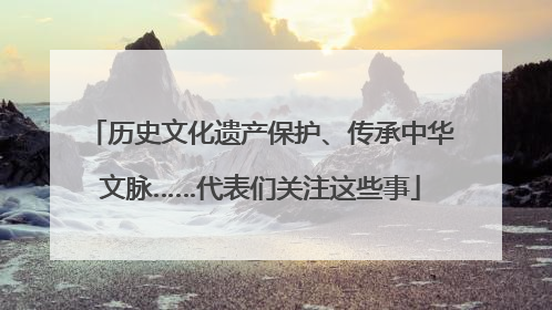 历史文化遗产保护、传承中华文脉……代表们关注这些事