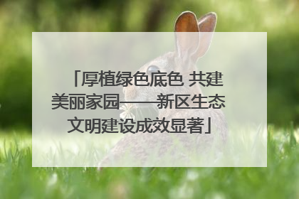 厚植绿色底色 共建美丽家园——新区生态文明建设成效显著