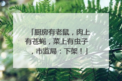 厨房有老鼠，肉上有苍蝇，菜上有虫子，市监局：下架！