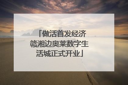 做活首发经济 赣湘边奥莱数字生活城正式开业